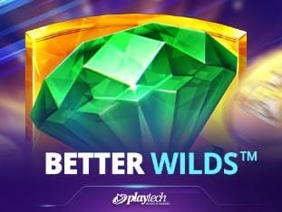 Better Wilds™ game icon